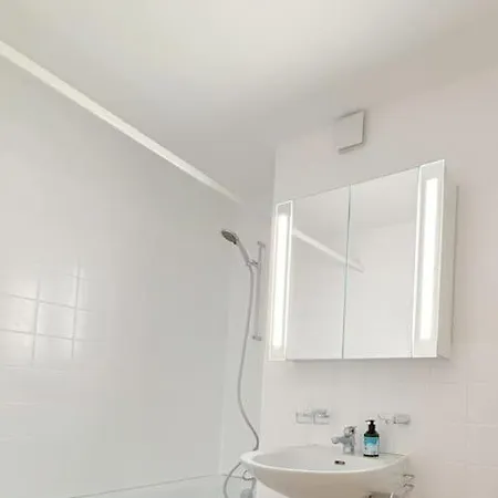 Swiss Apartment Zurich